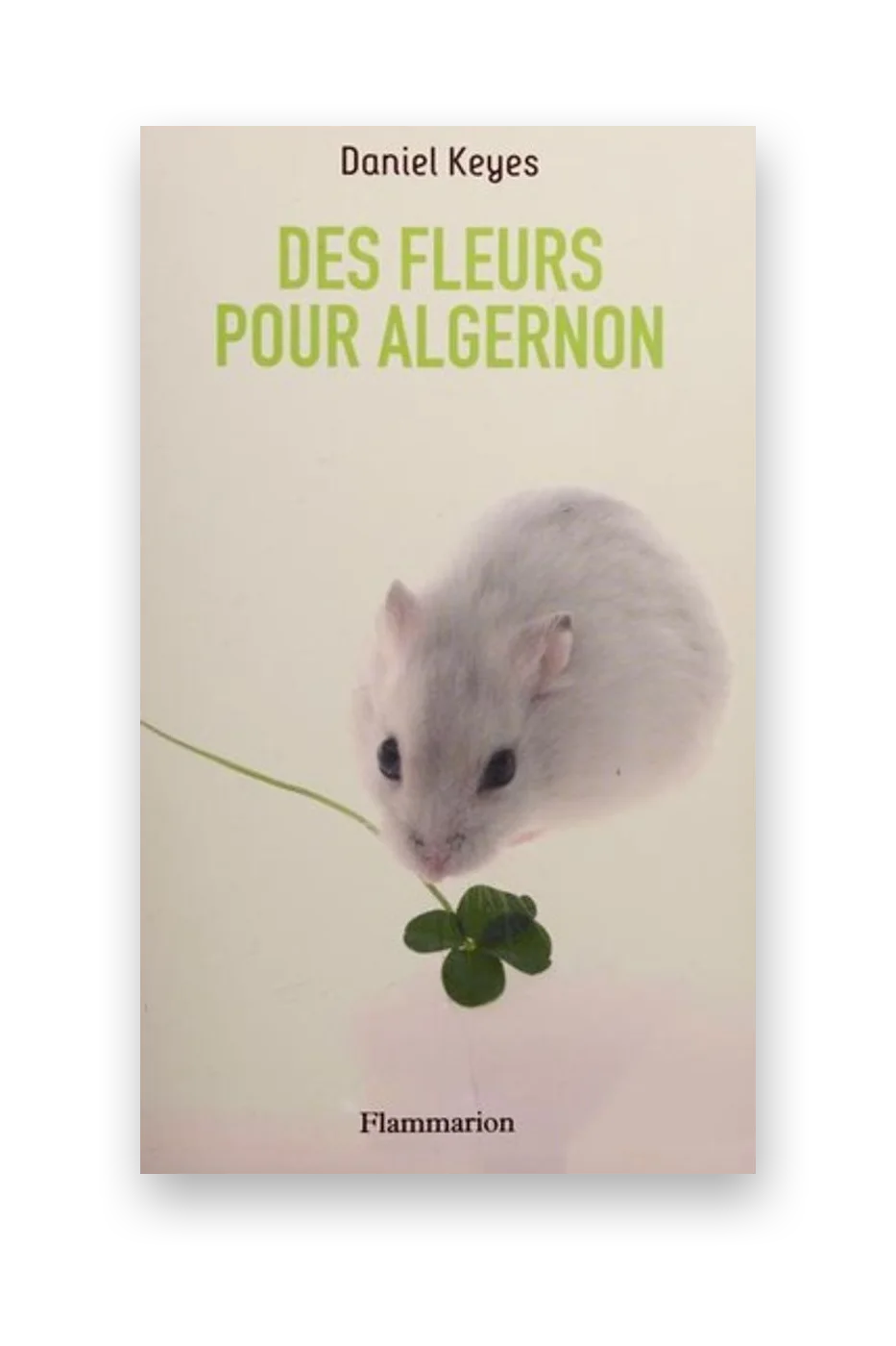 Des fleurs pour Algernon