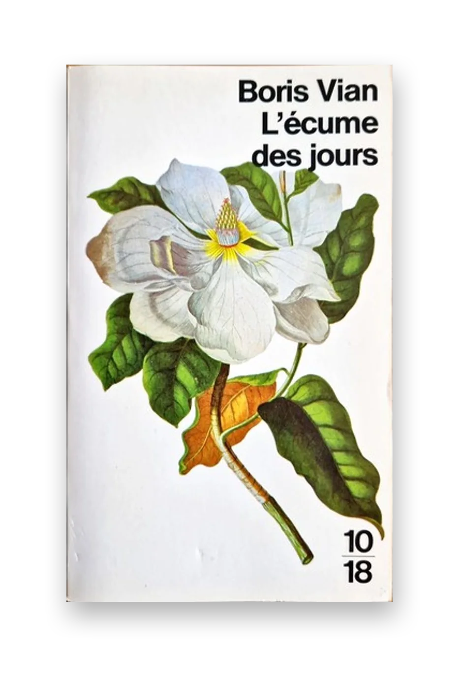 L'Écume des jours